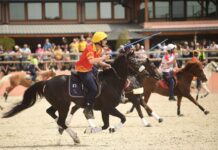 Rendez-vous au Grand Tournoi, le championnat de France des sports équestres collectifs