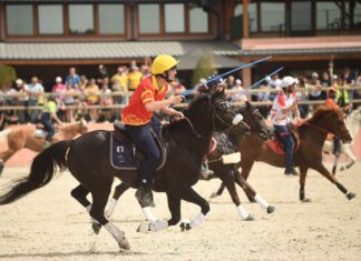 Rendez-vous au Grand Tournoi, le championnat de France des sports équestres collectifs