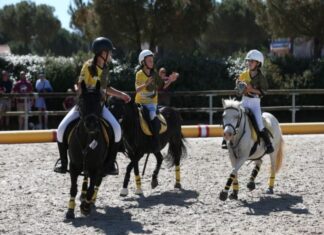 EQUITATION : Pleins feux sur les championnats de France des sports équestres collectifs