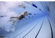 NATATION : 7ème championnat de France de sports subaquatiques, sous le signe des records